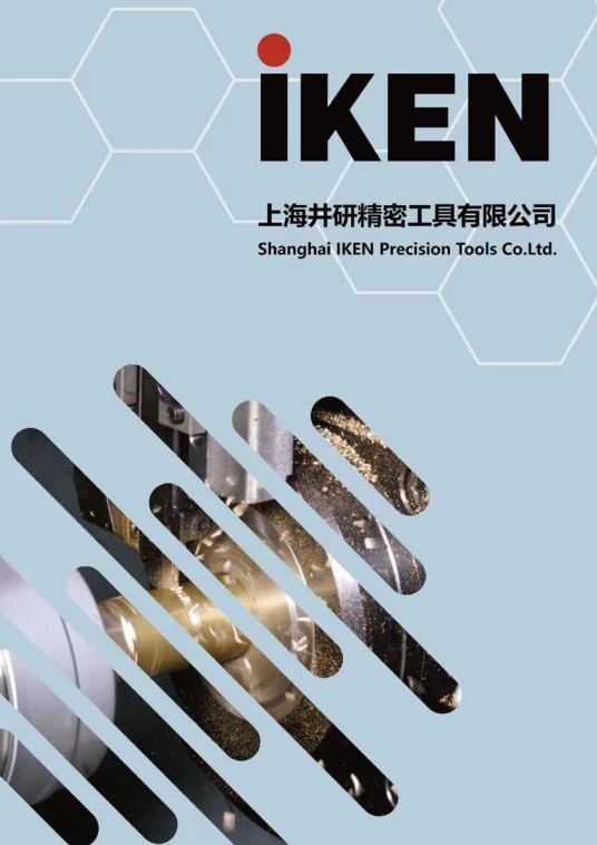 中文整体样本